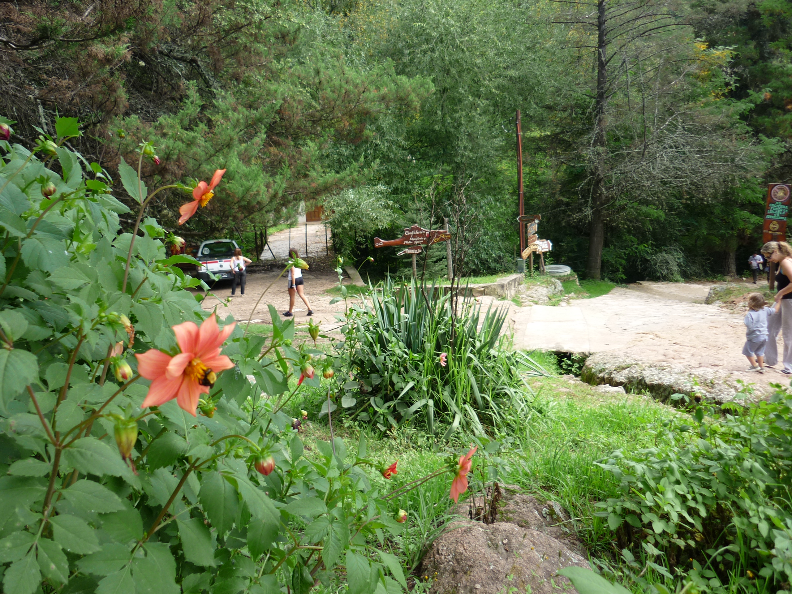 fotos/2011 - Los Reartes/P1010871.JPG